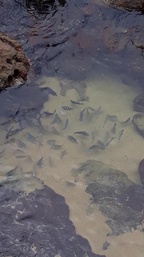 Pousada Gabriel Praia de Araçatiba エクステリア 写真